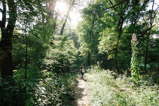 Wilmington, DE parks