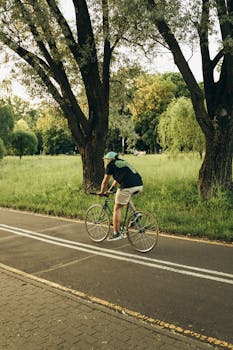 King Of Prussia, PA parks
