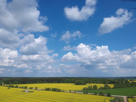 White Plains, NY skyline