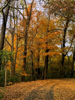 Towson, MD neighborhood