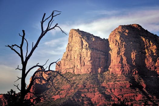 St George, UT business