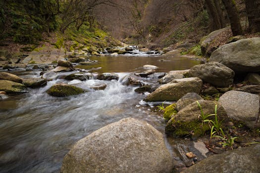 Riverside, CA business