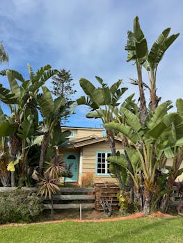 Carlsbad, CA neighborhood