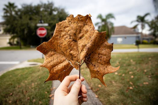 Thousand Oaks, CA neighborhood