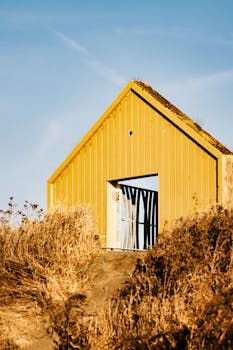 Sunnyvale, CA neighborhood