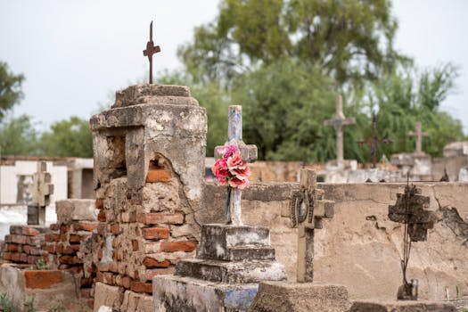 Salinas, CA business