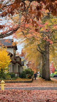 Redding, CA neighborhood