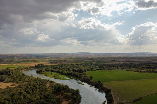 Elk Grove, CA skyline