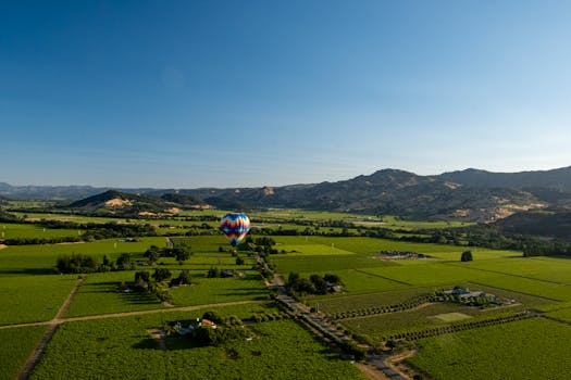 Napa, CA skyline