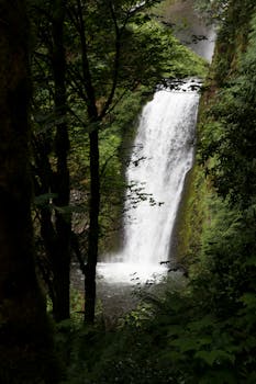 Beaverton, OR skyline