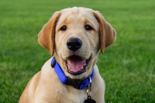 Mankato, MN neighborhood