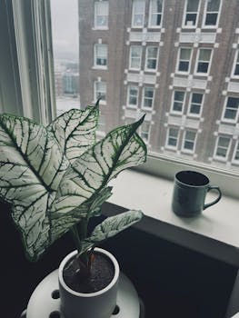 Memphis, TN business