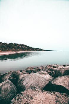 Pine Bluff, AR neighborhood