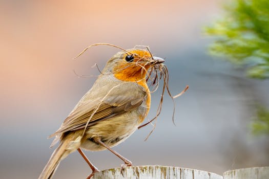 Warner Robins, GA neighborhood