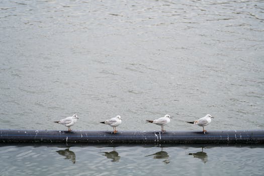 Dalton, GA neighborhood