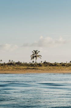 West Palm Beach, FL hero