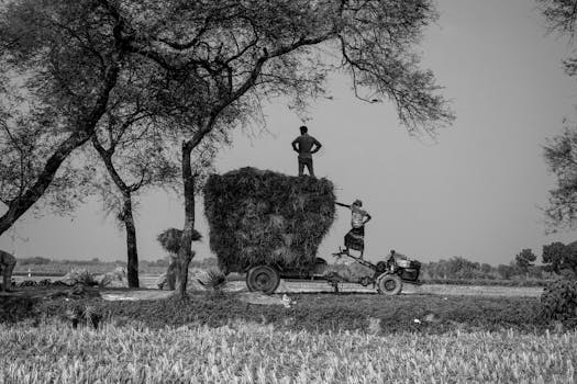 Hays, KS neighborhood