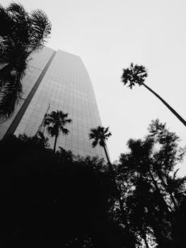 Palm Desert, CA business