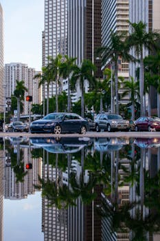 Fort Lauderdale, FL neighborhood