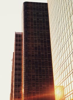 Hollywood, FL business