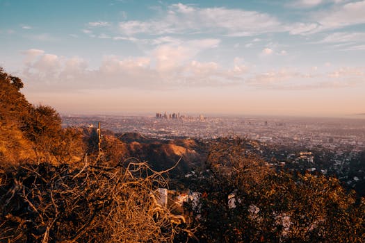Hollywood, FL skyline