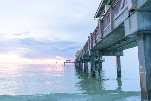 Cape Coral, FL business