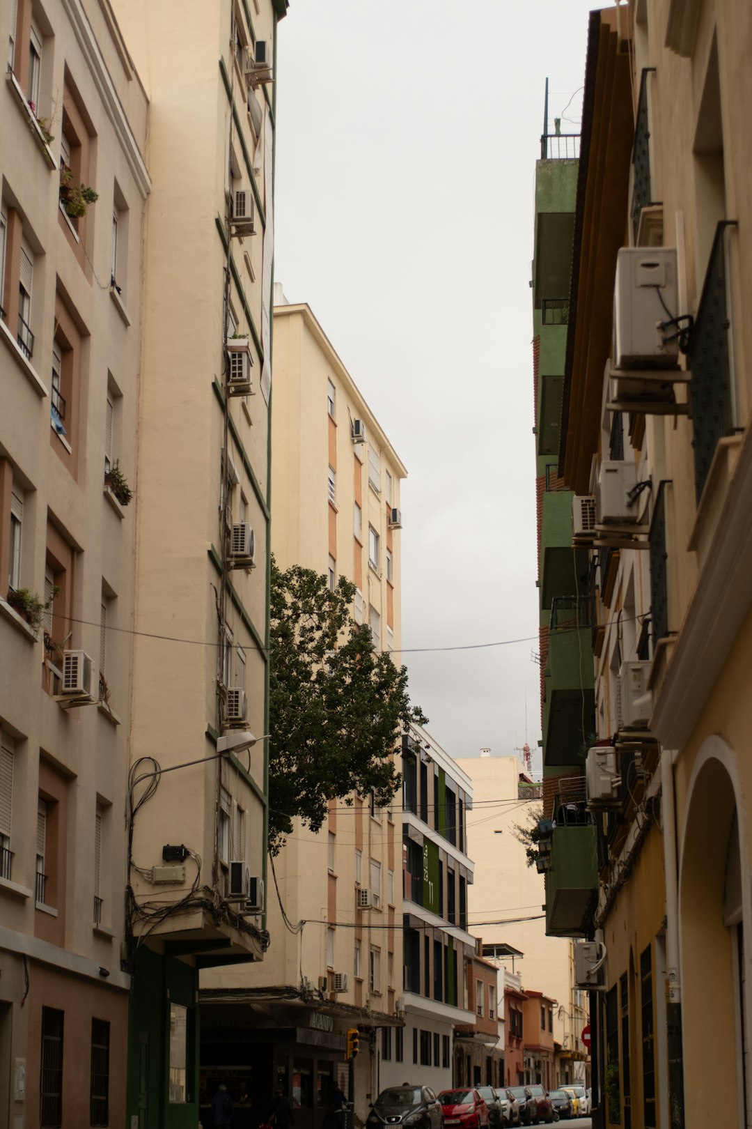 Orlando, FL neighborhood