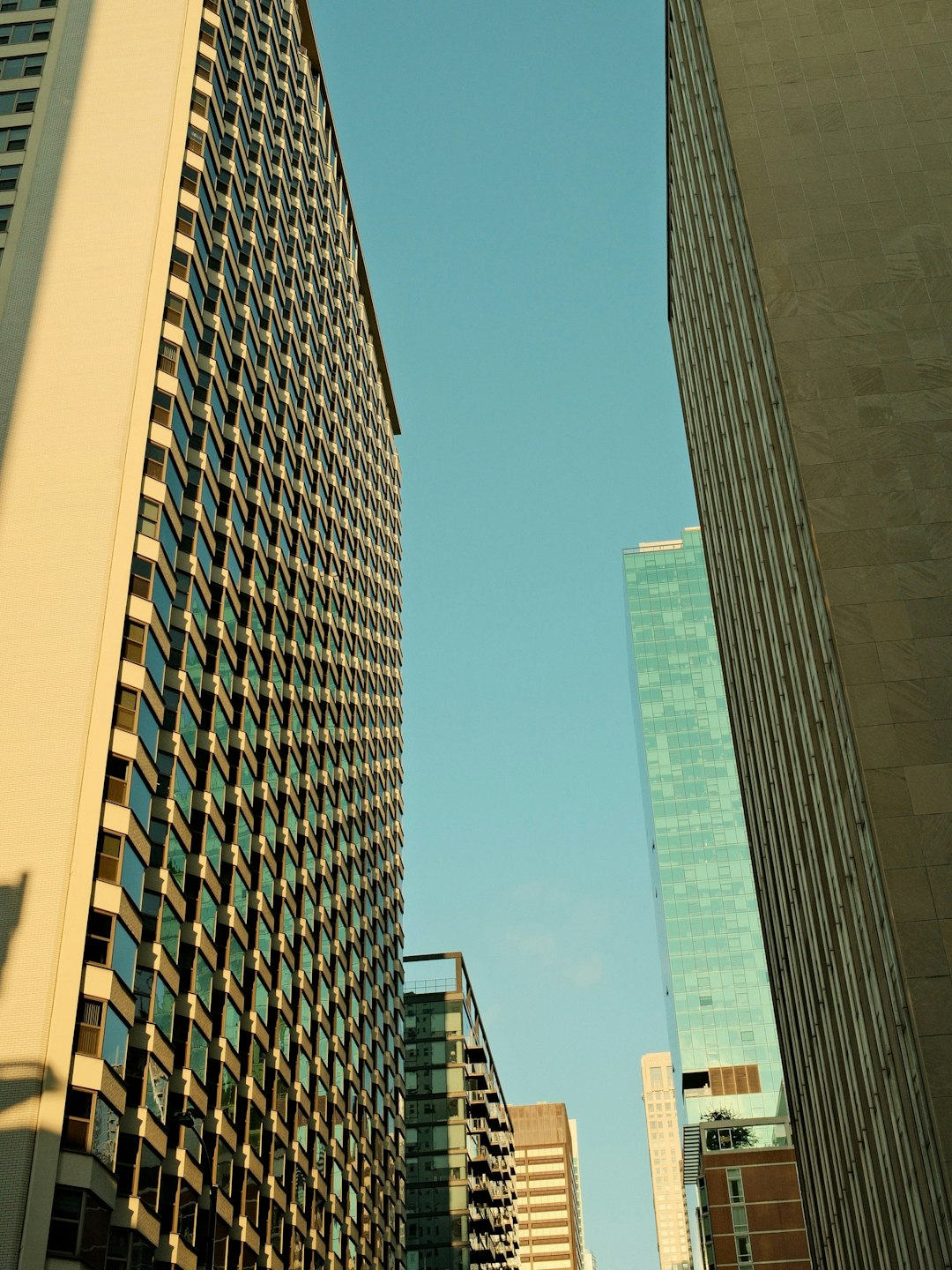 Lakeland, FL business