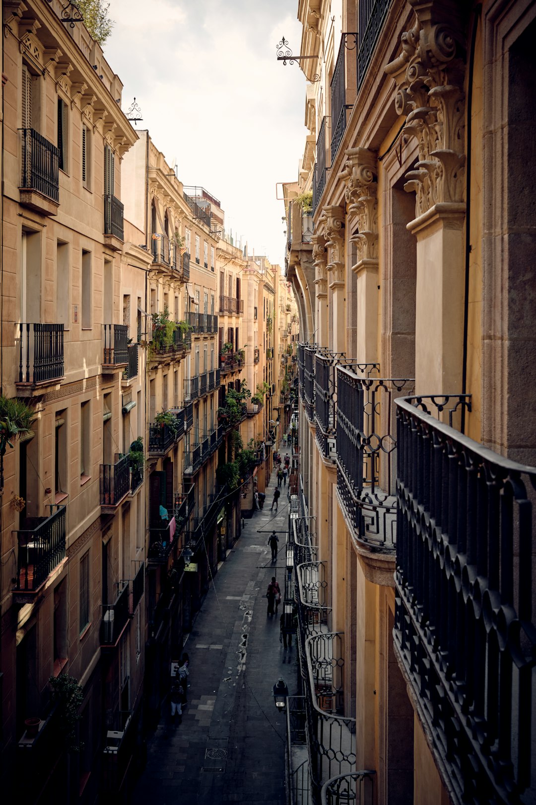 Clearwater, FL neighborhood