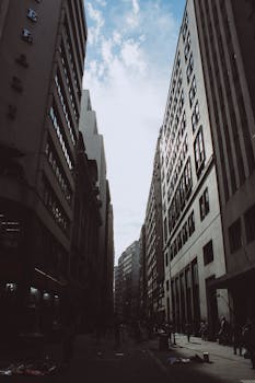 Plant City, FL business