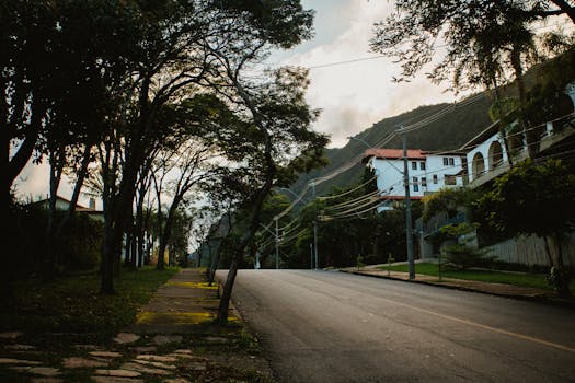 Brandon, FL neighborhood