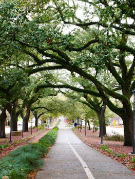 Baton Rouge, LA hero