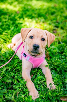 Tallahassee, FL hero