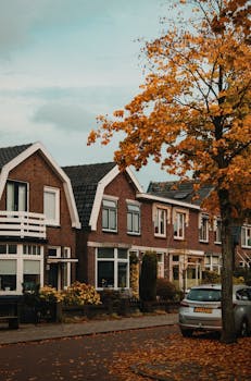 Conroe, TX neighborhood