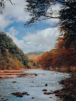 New Braunfels, TX business