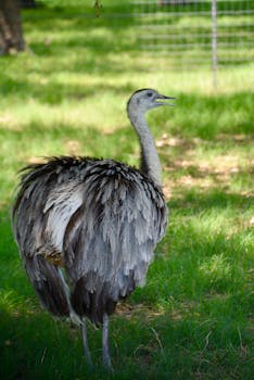 New Braunfels, TX neighborhood