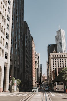 San Marcos, TX business