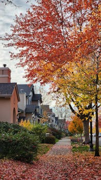Frisco, TX neighborhood