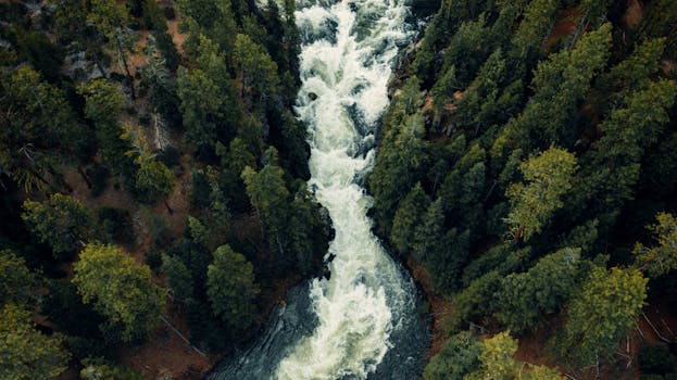 Ann Arbor, MI business
