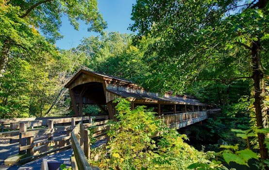 Youngstown, OH business