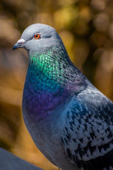 Lexington, KY neighborhood